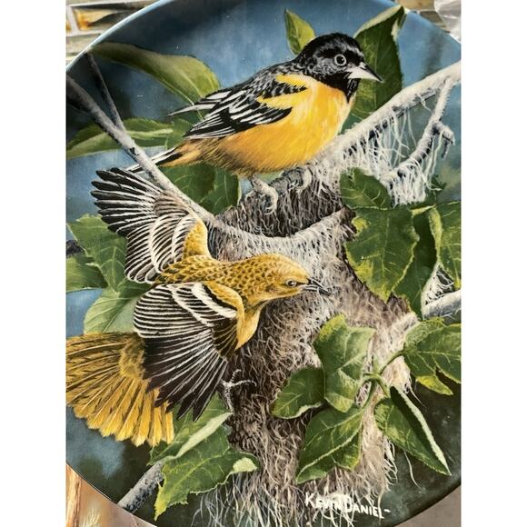 Vintage 5 Encyclopedia Britannica Birds Of Your Garden Collector Plates Knowles - Picture 10 of 12